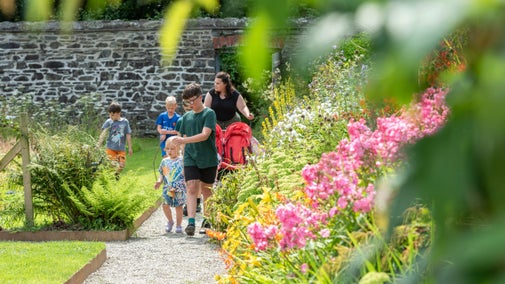 A family walking on a path in the walled garden at Llanerchaeron, Ceredigion